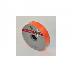 Nastri Splendene - 19mm 2
