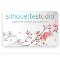 Silhouette Studio Bussiness Edition