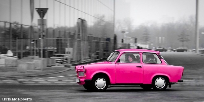 Accessori per Auto